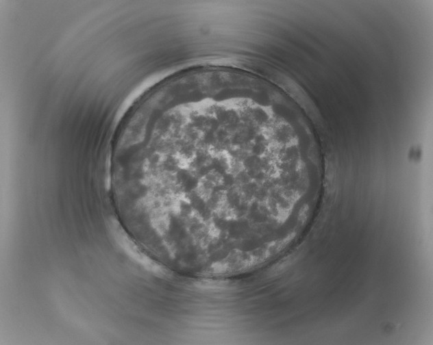 X0000113081036200909182044