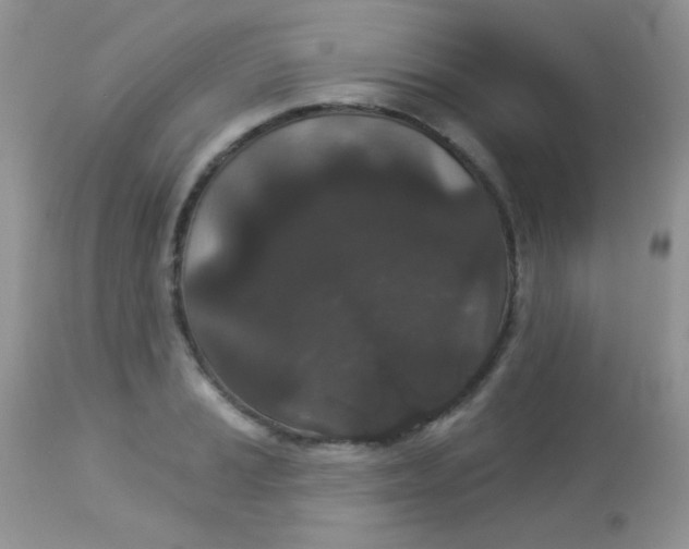 X0000113081037200909182044