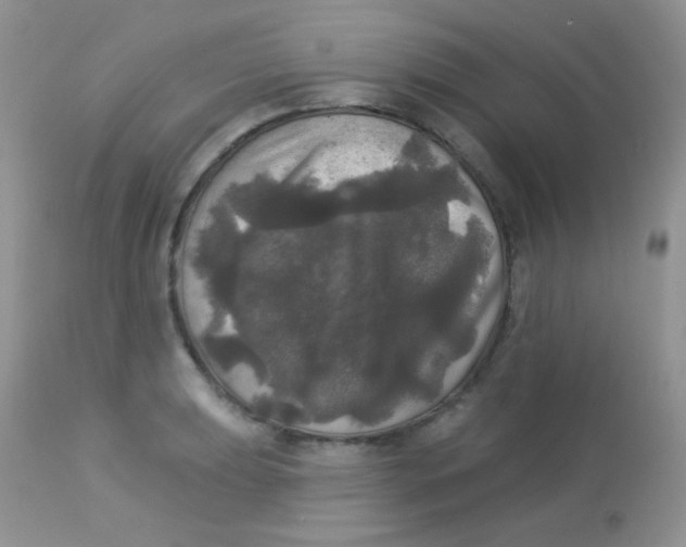 X0000113081039200909182044