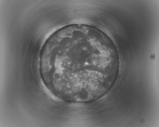 X0000113081040200909182044