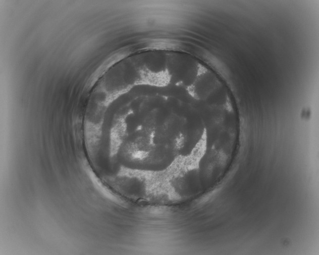 X0000113081041200909182044