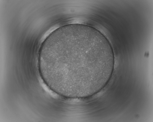 X0000113081042200909182044