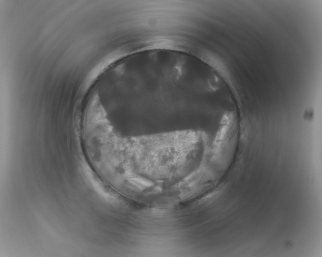 X0000113081043200909182044