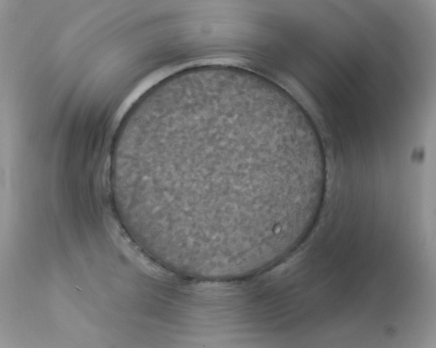 X0000113081044200909182044