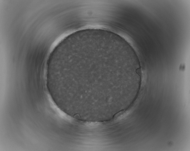 X0000113081046200909182044