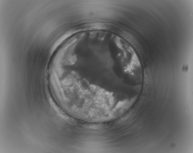 X0000113081047200909182045