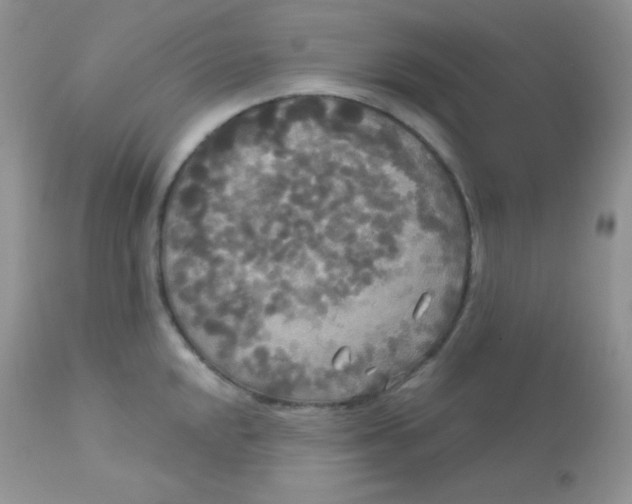 X0000113081048200909182045