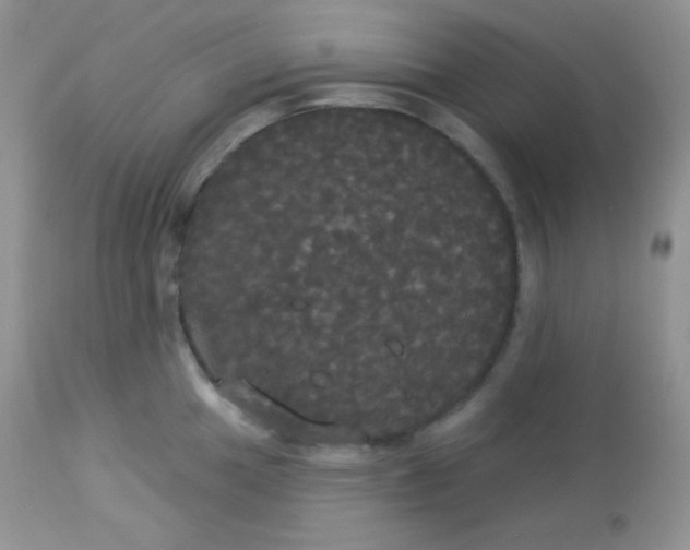 X0000113081049200909182045