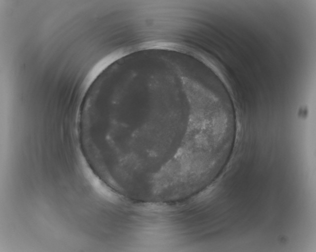 X0000113081050200909182045