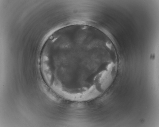 X0000113081051200909182045