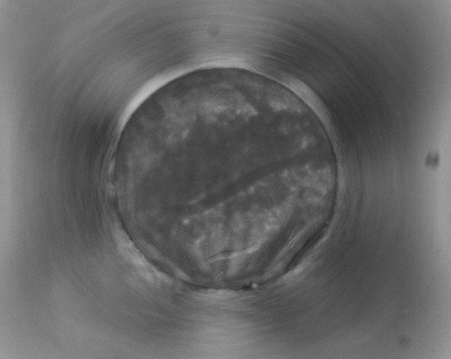 X0000113081052200909182045