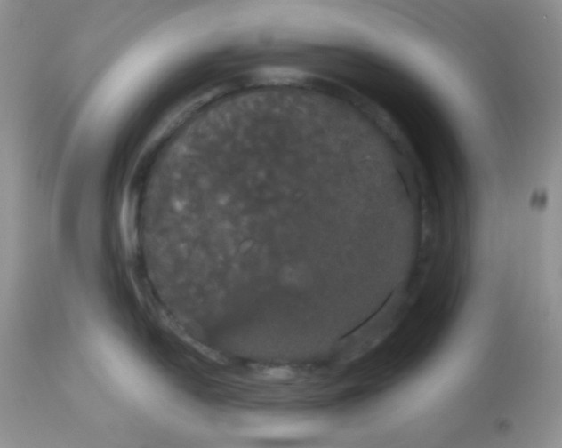 X0000113081054200909182045