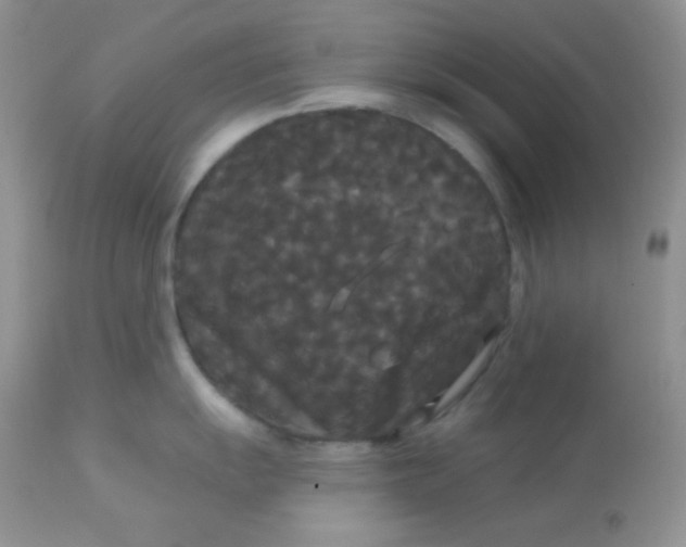 X0000113081055200909182045