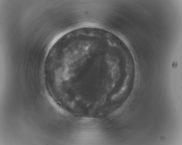 X0000113081056200909182045