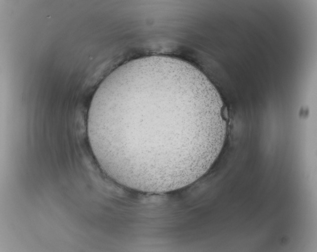 X0000113081058200909182044