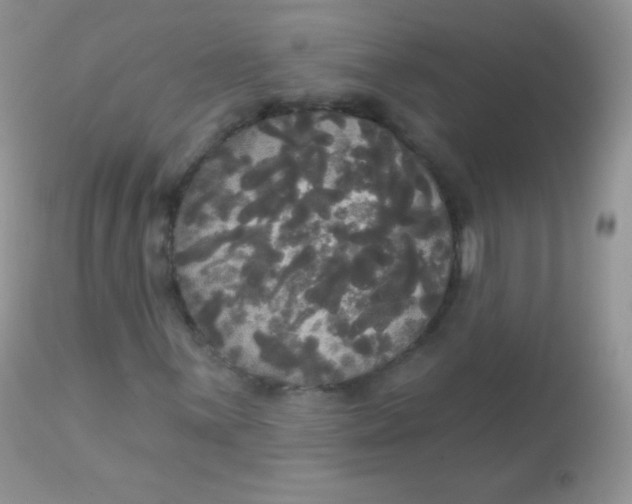 X0000113081059200909182044