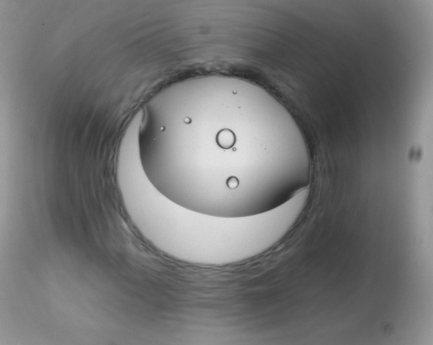 X0000113081060200909182044