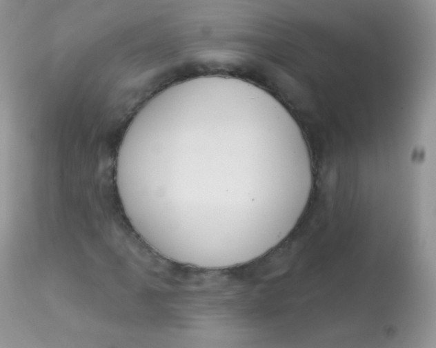 X0000113081061200909182044