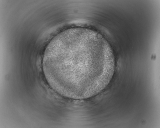 X0000113081062200909182044