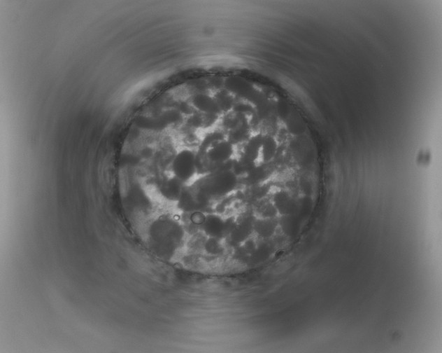 X0000113081063200909182044