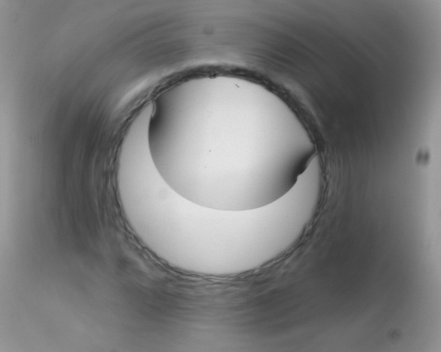 X0000113081064200909182044