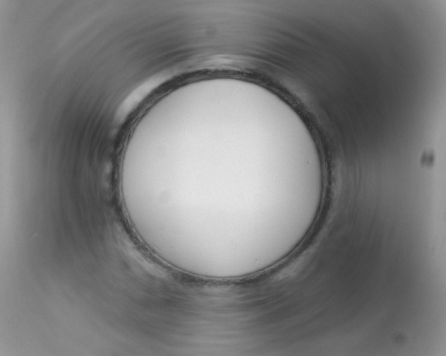 X0000113081066200909182044