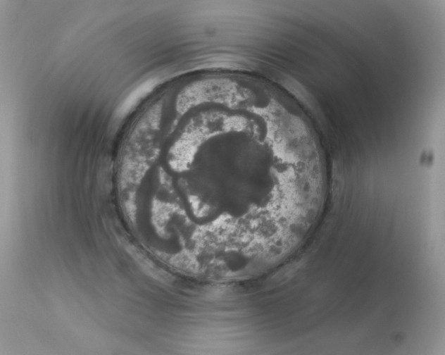 X0000113081067200909182043