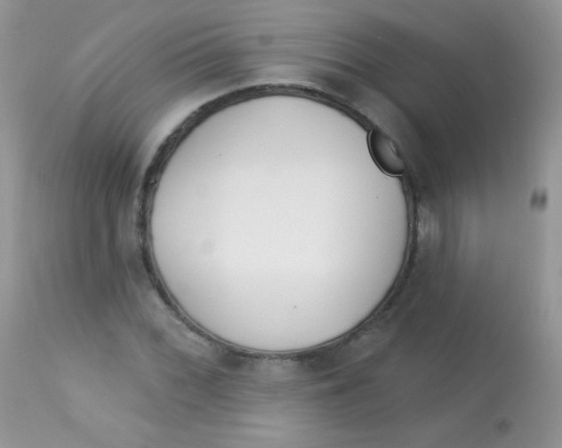 X0000113081068200909182043