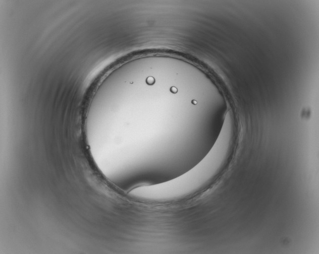 X0000113081069200909182043