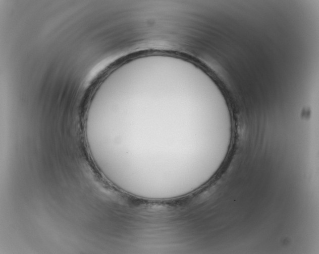 X0000113081070200909182043