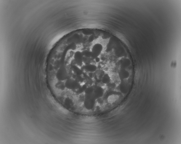 X0000113081071200909182043