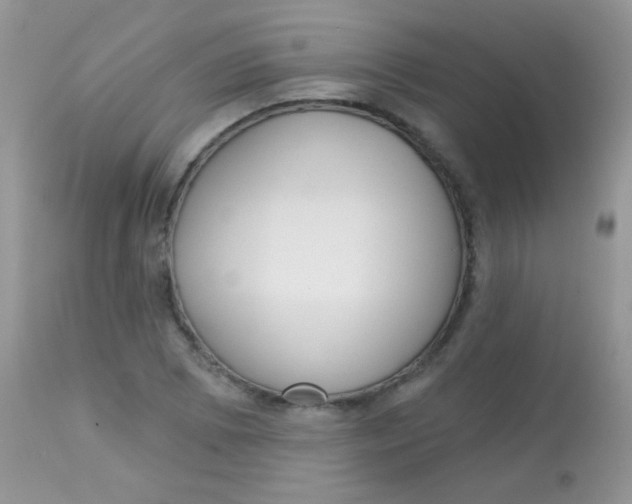 X0000113081073200909182043