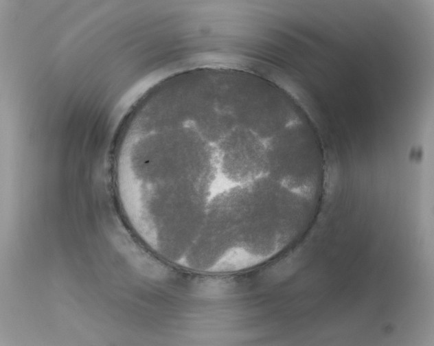 X0000113081074200909182043