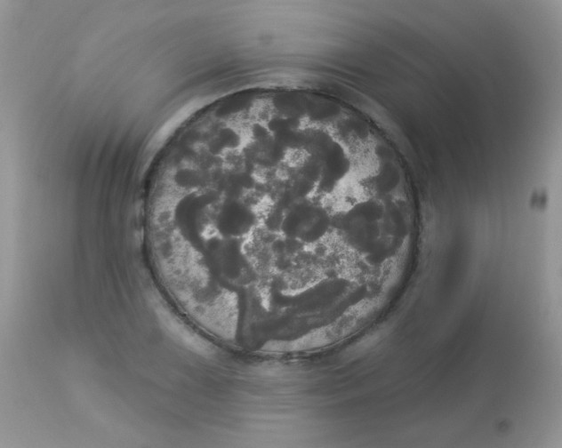 X0000113081075200909182043