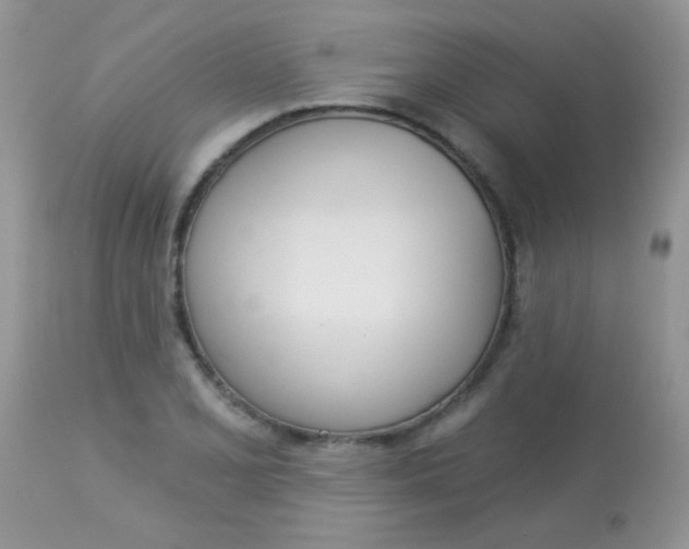 X0000113081077200909182043