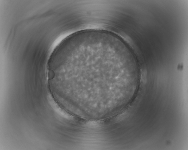 X0000113081078200909182043