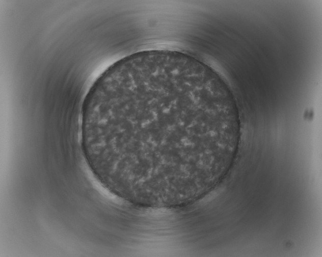 X0000113081079200909182043