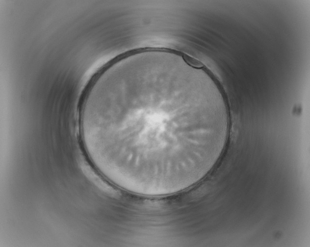 X0000113081080200909182043