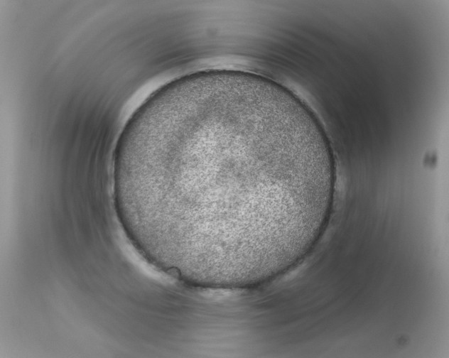 X0000113081082200909182043