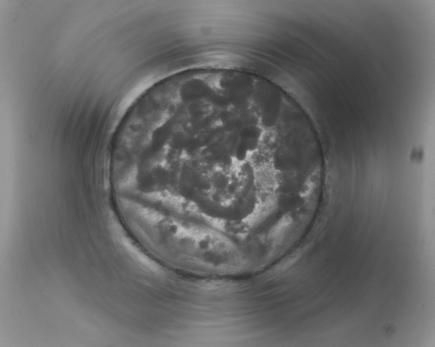 X0000113081083200909182043