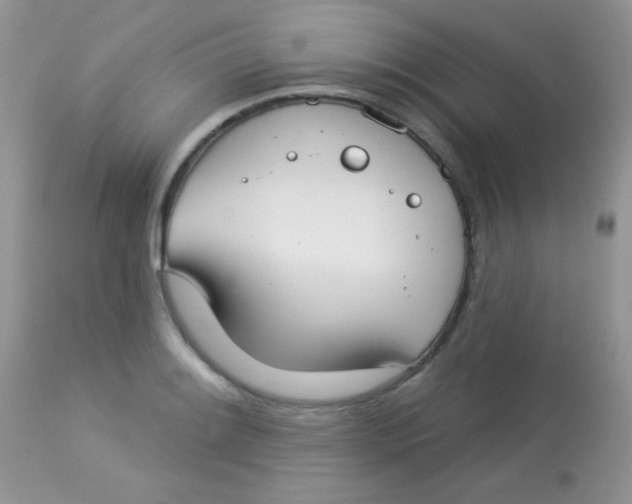 X0000113081084200909182043