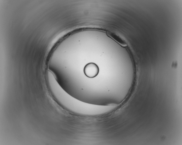 X0000113081085200909182043