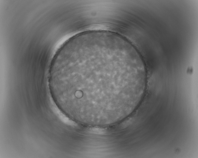 X0000113081086200909182043