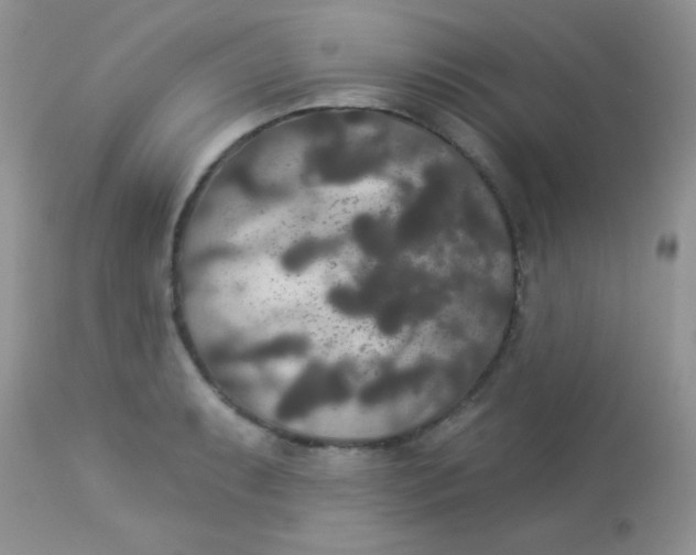 X0000113081087200909182043