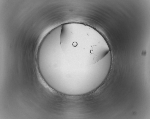 X0000113081088200909182043