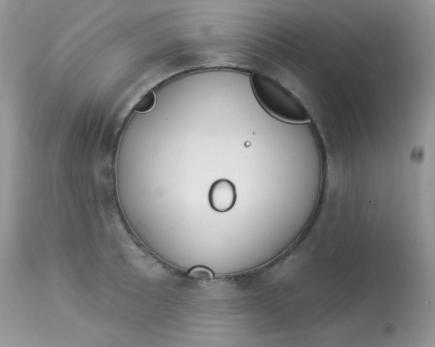 X0000113081089200909182043