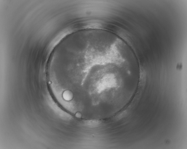 X0000113081090200909182043