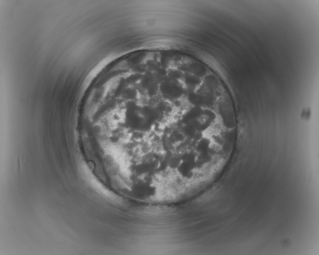 X0000113081091200909182043