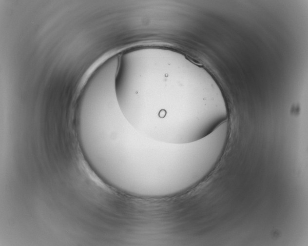 X0000113081092200909182043