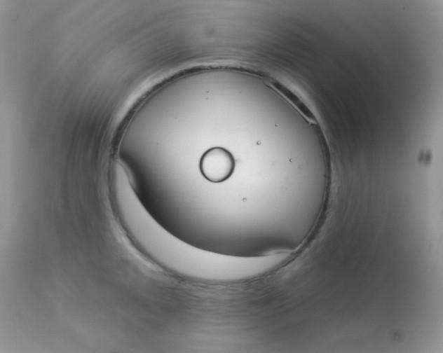 X0000113081093200909182043